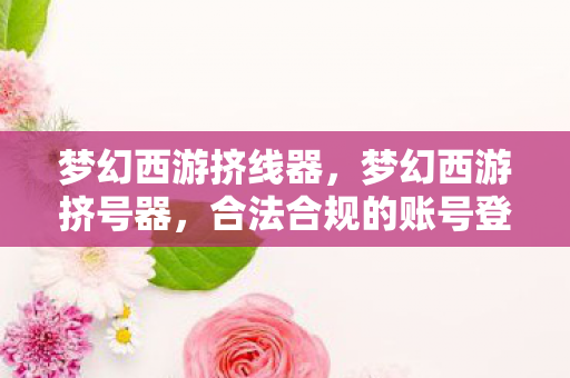 梦幻西游挤线器，梦幻西游挤号器，合法合规的账号登录优化工具