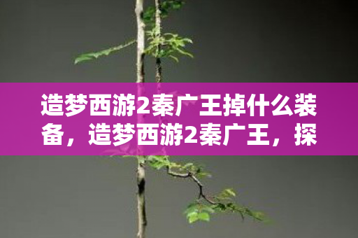 造梦西游2秦广王掉什么装备，造梦西游2秦广王，探索未知世界的奇幻之旅