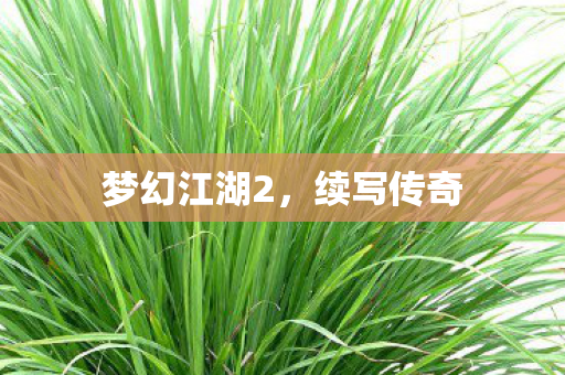 梦幻江湖2，续写传奇