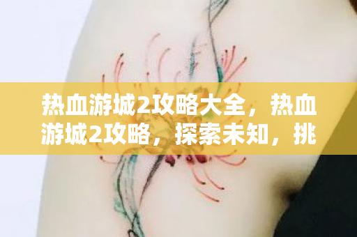 热血游城2攻略大全,热血游城2攻略,探索未知,挑战极限 热血游城2攻略大全,热血游城2攻略,探索未知,挑战极限