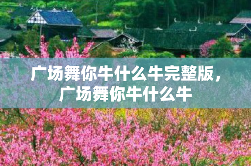 广场舞你牛什么牛完整版，广场舞你牛什么牛