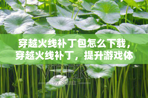 穿越火线补丁包怎么下载，穿越火线补丁，提升游戏体验的必备神器