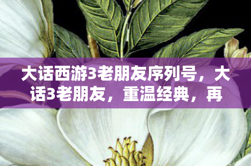 大话西游3老朋友序列号，大话3老朋友，重温经典，再续前缘