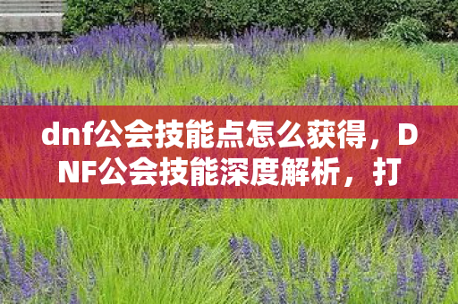 dnf公会技能点怎么获得，DNF公会技能深度解析，打造最强战斗团队
