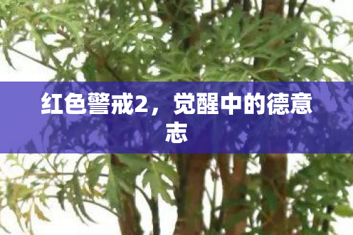 红色警戒2，觉醒中的德意志