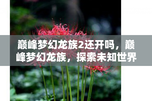 巅峰梦幻龙族2还开吗，巅峰梦幻龙族，探索未知世界的奇幻之旅