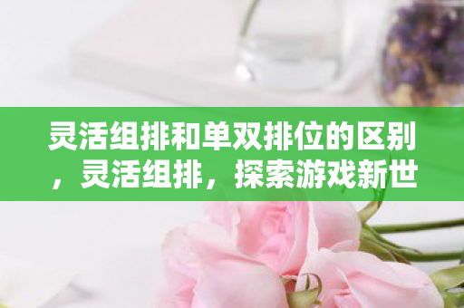 灵活组排和单双排位的区别，灵活组排，探索游戏新世界的无限可能