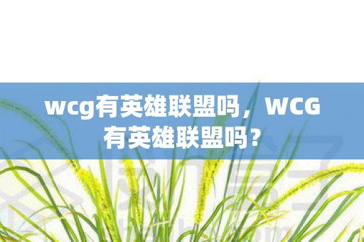 wcg有英雄联盟吗，WCG有英雄联盟吗？