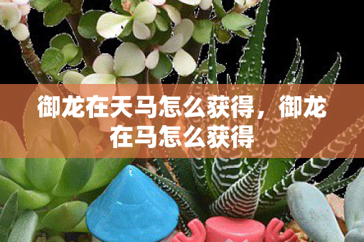 御龙在天马怎么获得，御龙在马怎么获得