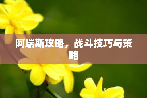 阿瑞斯攻略，战斗技巧与策略