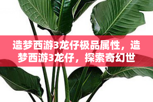 造梦西游3龙仔极品属性，造梦西游3龙仔，探索奇幻世界的奇妙之旅