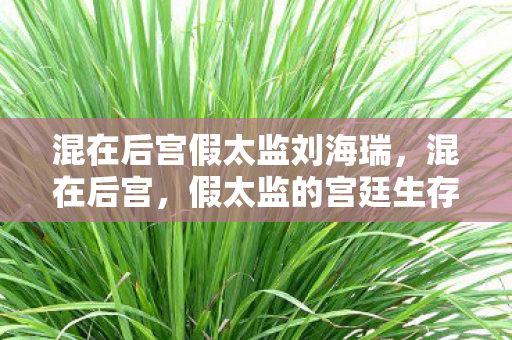混在后宫假太监刘海瑞，混在后宫，假太监的宫廷生存指南