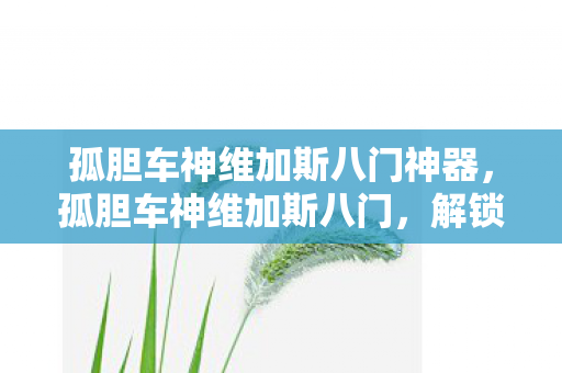 孤胆车神维加斯八门神器，孤胆车神维加斯八门，解锁无限可能的秘籍