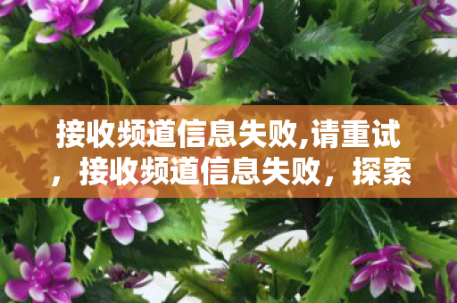 接收频道信息失败,请重试，接收频道信息失败，探索游戏世界的另一面