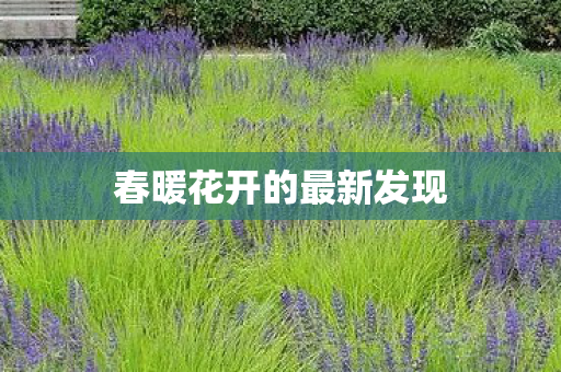 春暖花开的最新发现
