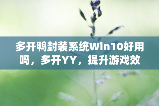 多开鸭封装系统Win10好用吗，多开YY，提升游戏效率与体验的艺术