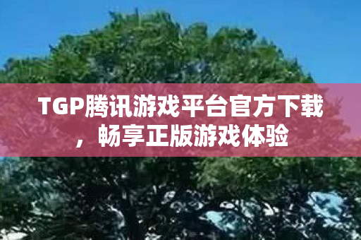 TGP腾讯游戏平台官方下载，畅享正版游戏体验