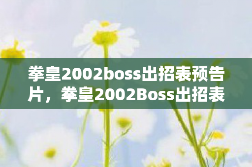 拳皇2002boss出招表预告片，拳皇2002Boss出招表详解，掌握终极技能，挑战极限