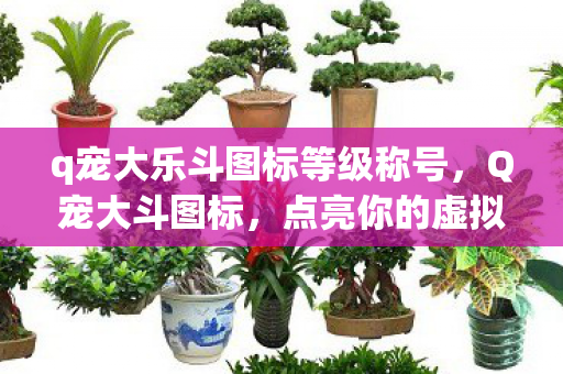 q宠大乐斗图标等级称号，Q宠大斗图标，点亮你的虚拟世界