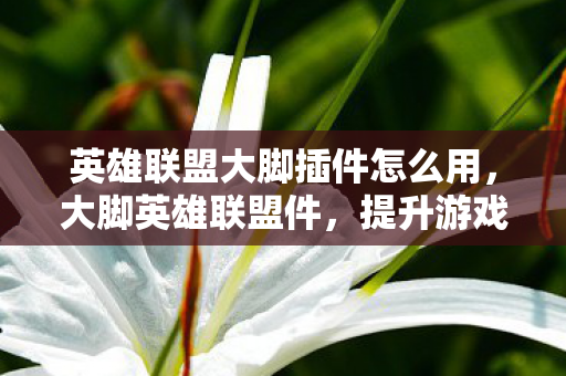 英雄联盟大脚插件怎么用，大脚英雄联盟件，提升游戏体验的神奇工具