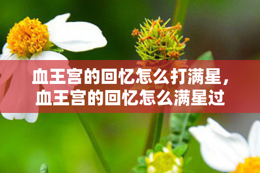 血王宫的回忆怎么打满星，血王宫的回忆怎么满星过