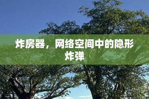 炸房器,网络空间中的隐形炸弹 炸房器,网络空间中的隐形炸弹