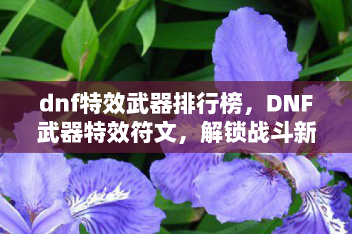 dnf特效武器排行榜,DNF武器特效符文,解锁战斗新境界 dnf特效武器排行榜,DNF武器特效符文,解锁战斗新境界
