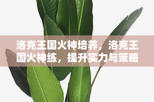 洛克王国火神培养，洛克王国火神练，提升实力与策略并重的冒险之旅