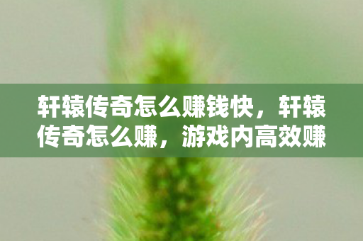 轩辕传奇怎么赚钱快，轩辕传奇怎么赚，游戏内高效赚钱攻略