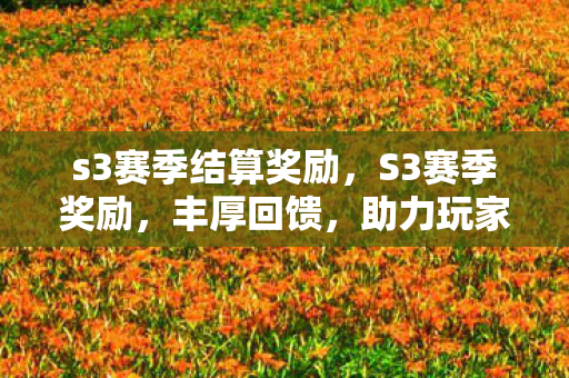 s3赛季结算奖励，S3赛季奖励，丰厚回馈，助力玩家登顶巅峰