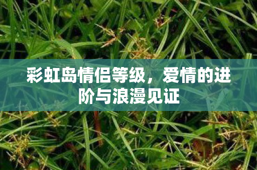彩虹岛情侣等级，爱情的进阶与浪漫见证