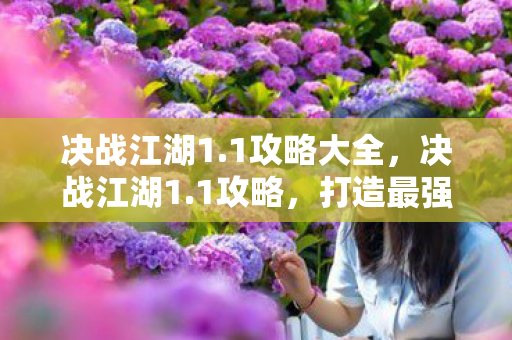 决战江湖1.1攻略大全，决战江湖1.1攻略，打造最强角色，征服江湖！
