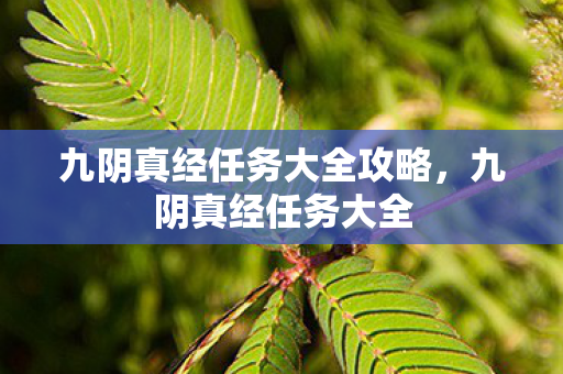 九阴真经任务大全攻略，九阴真经任务大全