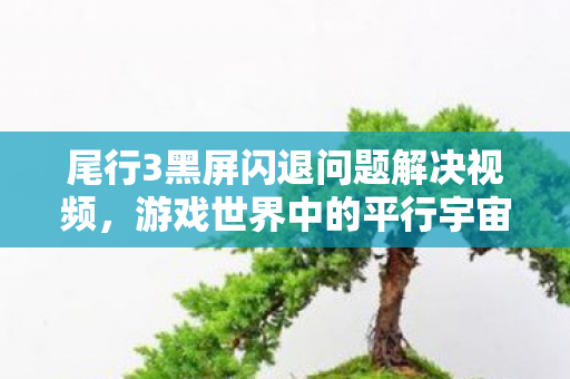 尾行3黑屏闪退问题解决视频，游戏世界中的平行宇宙，探索官方与私服的独特魅力