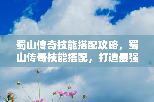 蜀山传奇技能搭配攻略，蜀山传奇技能搭配，打造最强战斗力的秘籍