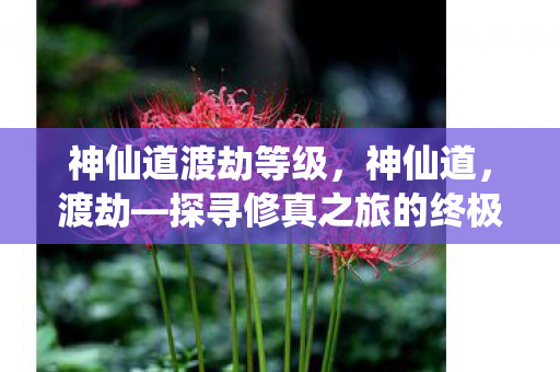 神仙道渡劫等级，神仙道，渡劫—探寻修真之旅的终极奥义