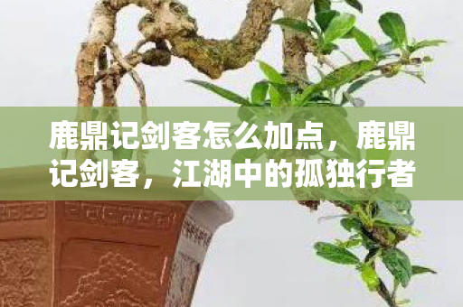 鹿鼎记剑客怎么加点,鹿鼎记剑客,江湖中的孤独行者 鹿鼎记剑客怎么加点,鹿鼎记剑客,江湖中的孤独行者