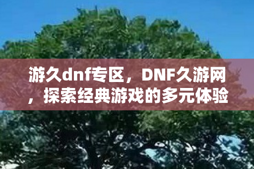 游久dnf专区，DNF久游网，探索经典游戏的多元体验