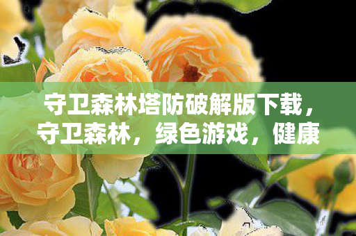 守卫森林塔防破解版下载，守卫森林，绿色游戏，健康娱乐的守护者