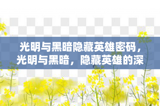 光明与黑暗隐藏英雄密码，光明与黑暗，隐藏英雄的深度探索