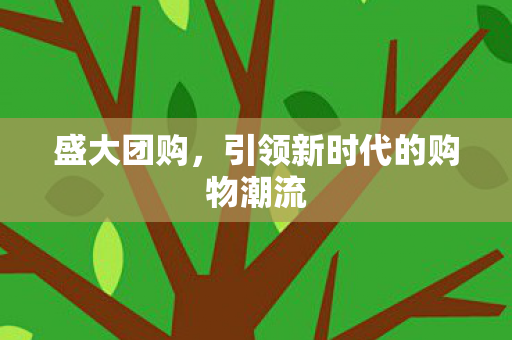 盛大团购，引领新时代的购物潮流