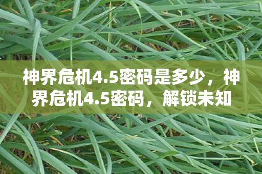 神界危机4.5密码是多少,神界危机4.5密码,解锁未知世界的神秘钥匙 神界危机4.5密码是多少,神界危机4.5密码,解锁未知世界的神秘钥匙