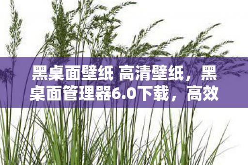 黑桌面壁纸 高清壁纸，黑桌面管理器6.0下载，高效便捷的管理工具