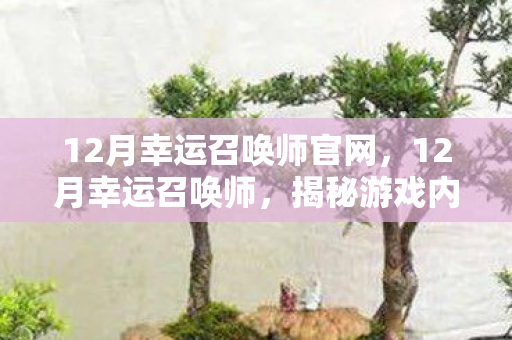 12月幸运召唤师官网，12月幸运召唤师，揭秘游戏内的神秘力量