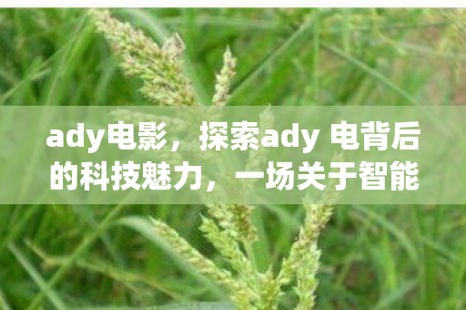 ady电影，探索ady 电背后的科技魅力，一场关于智能与创新的盛宴