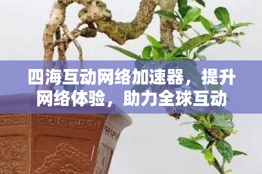 四海互动网络加速器,提升网络体验,助力全球互动 四海互动网络加速器,提升网络体验,助力全球互动