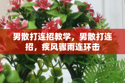 男散打连招教学，男散打连招，疾风骤雨连环击