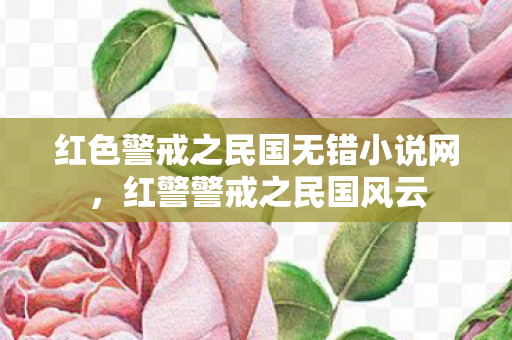 红色警戒之民国无错小说网,红警警戒之民国风云 红色警戒之民国无错小说网,红警警戒之民国风云