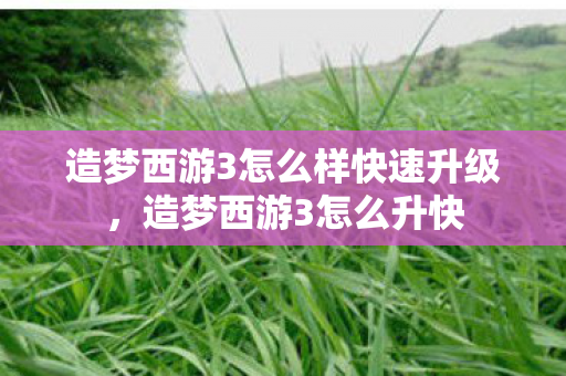 造梦西游3怎么样快速升级,造梦西游3怎么升快 造梦西游3怎么样快速升级,造梦西游3怎么升快