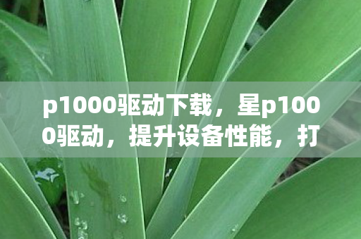 p1000驱动下载，星p1000驱动，提升设备性能，打造高效办公体验